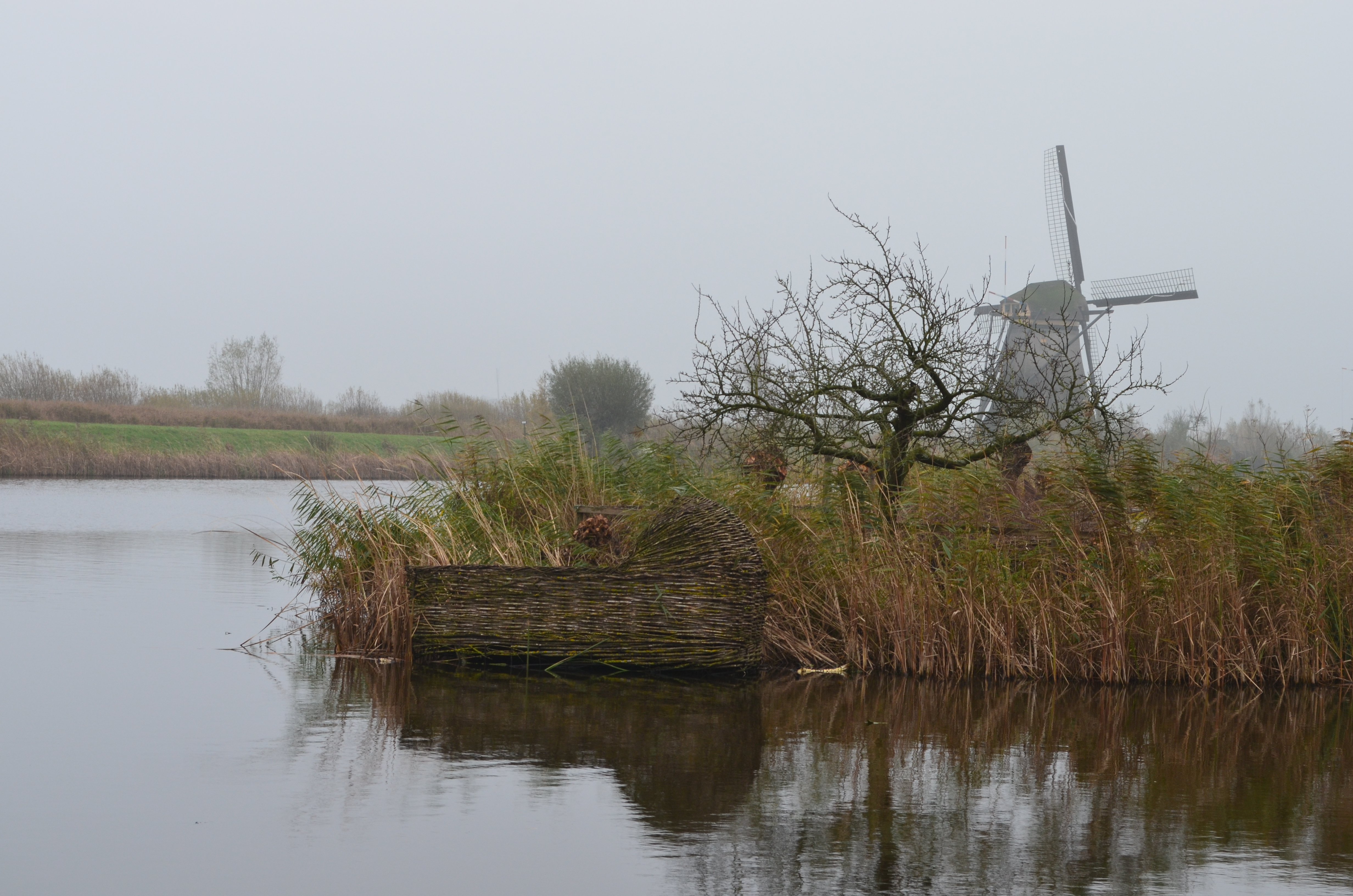 ./2017/19 - Viking Lif/12 - Kinderdijk, The Netherlands/DSC_0331.JPG